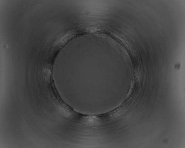 X0000095550427200801041335