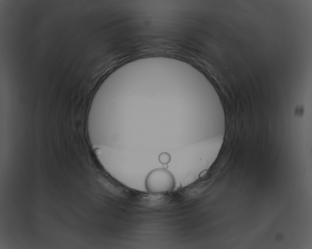 X0000095550428200801041335