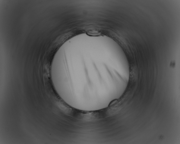 X0000095550430200801041335