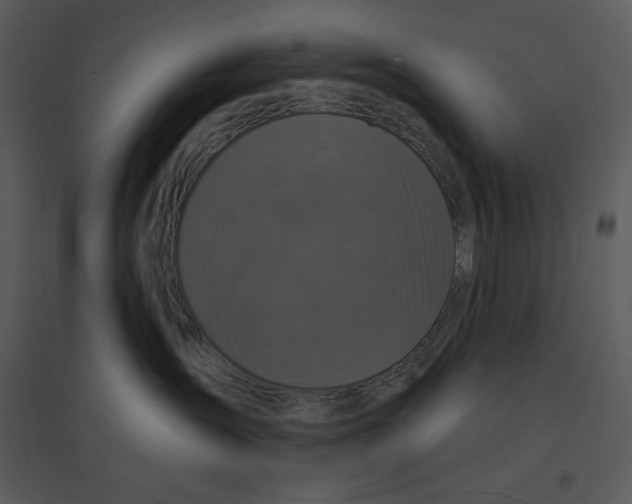 X0000095550431200801041335