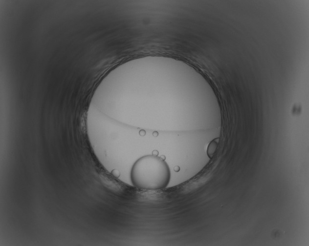 X0000095550432200801041335