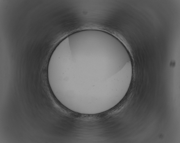 X0000095550433200801041334