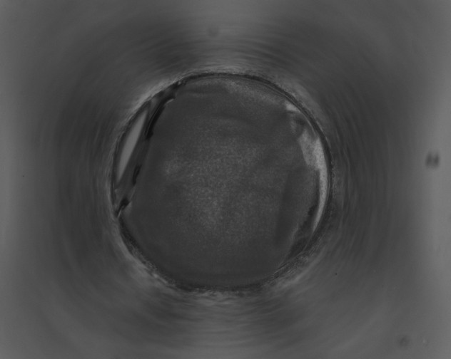 X0000095550434200801041334