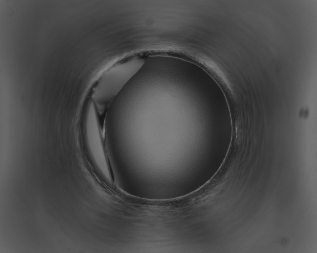 X0000095550436200801041334