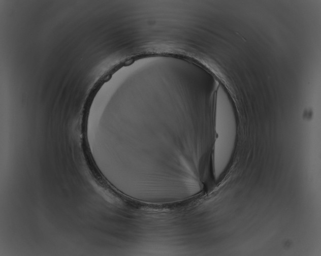 X0000095550438200801041334