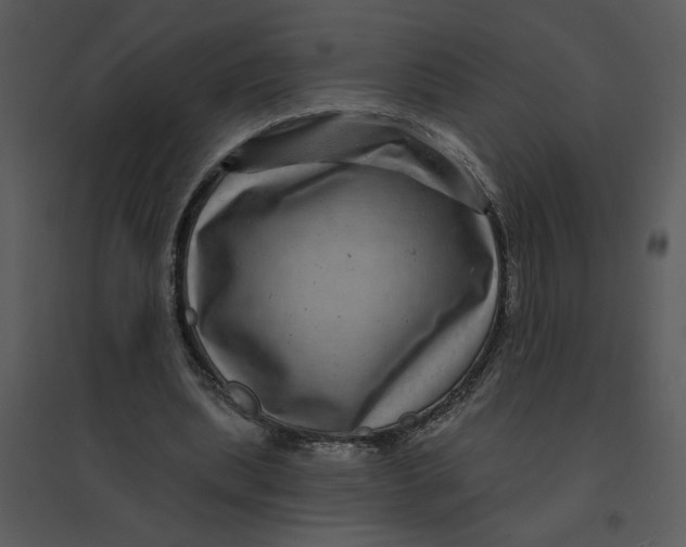 X0000095550439200801041334