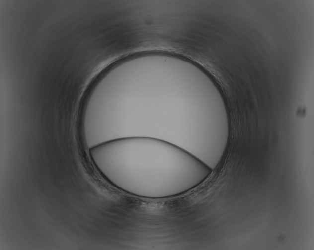 X0000095550440200801041334