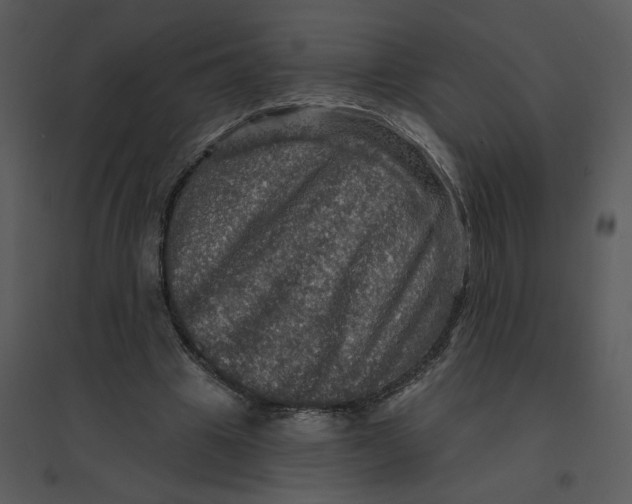 X0000095550441200801041334