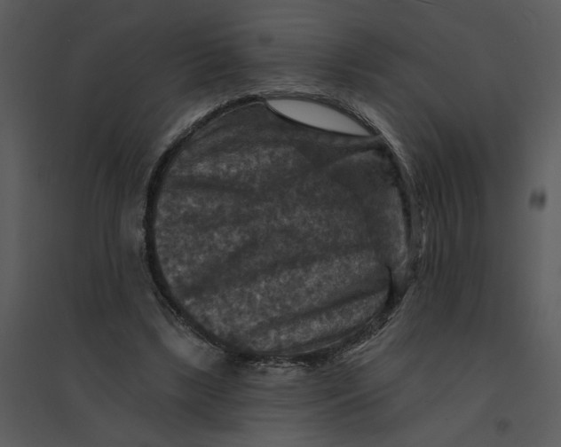 X0000095550443200801041334