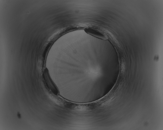 X0000095550444200801041334