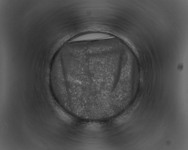 X0000095550445200801041334