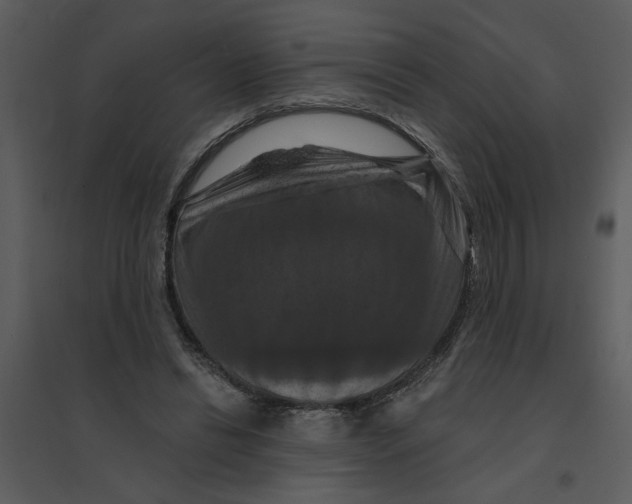 X0000095550446200801041334