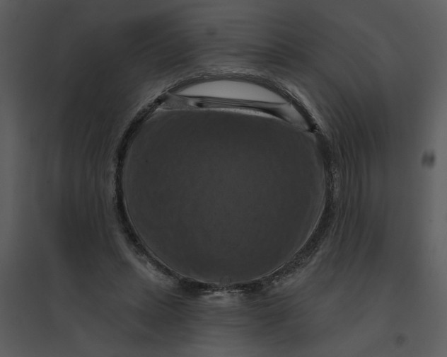 X0000095550447200801041334