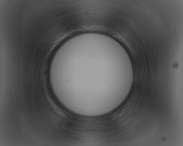 X0000095550448200801041334