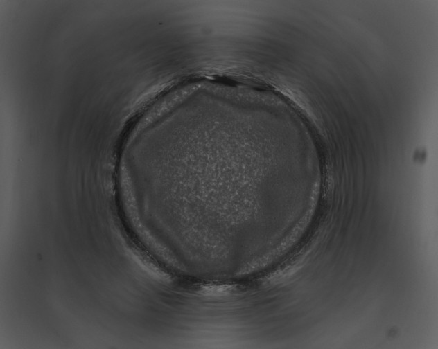 X0000095550450200801041334