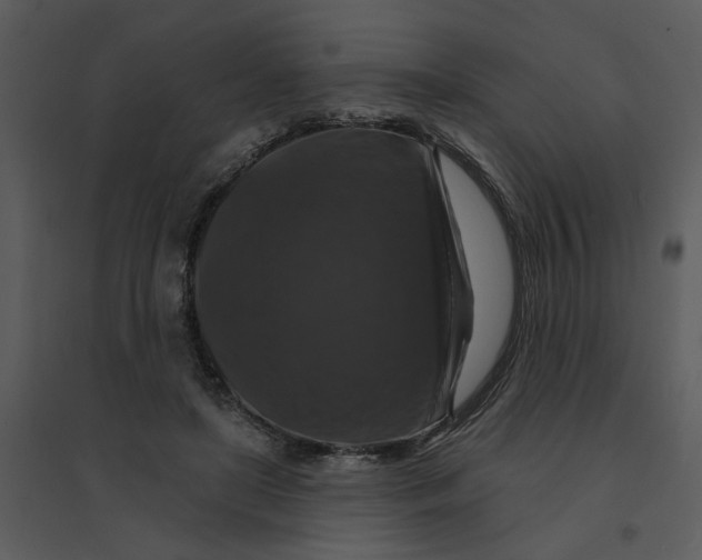 X0000095550451200801041334