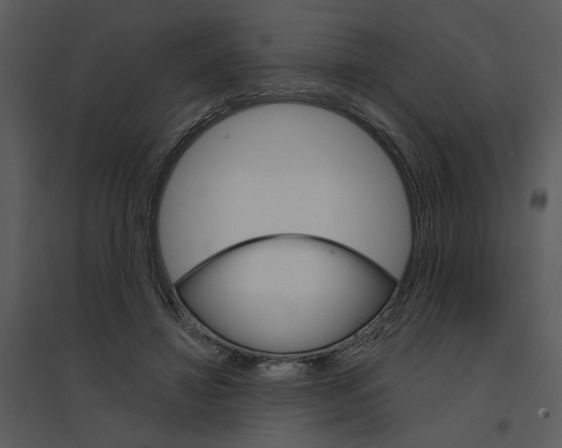 X0000095550452200801041334