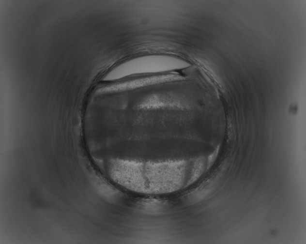 X0000095550453200801041334