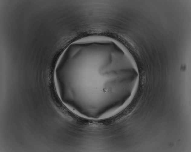 X0000095550455200801041334