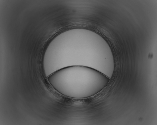 X0000095550456200801041334