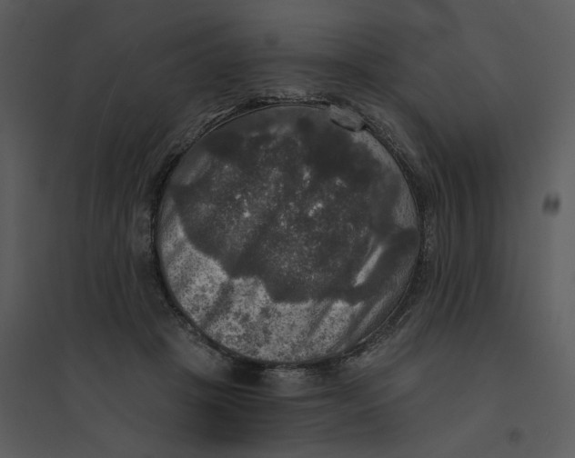 X0000095550457200801041334