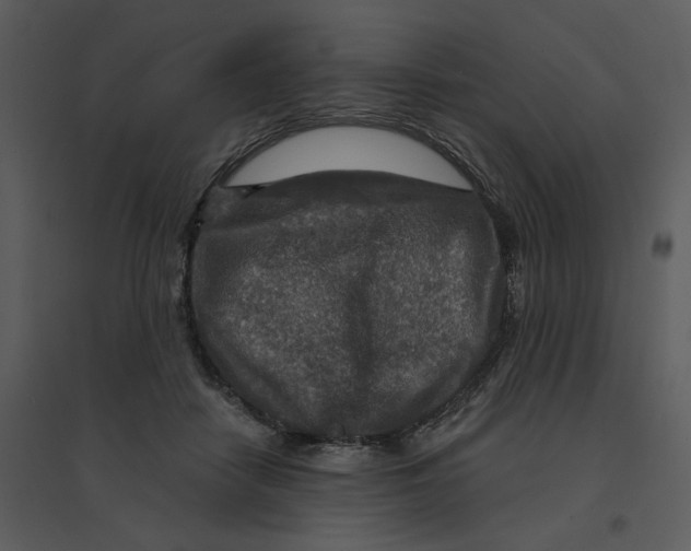 X0000095550458200801041335