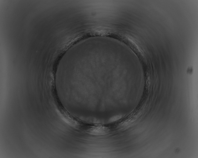 X0000095550459200801041335