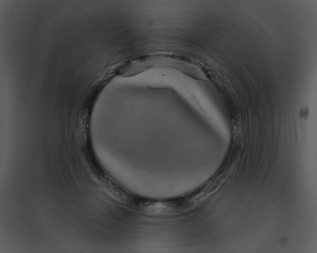 X0000095550460200801041335