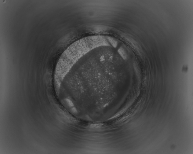 X0000095550461200801041335