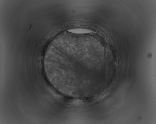 X0000095550462200801041335