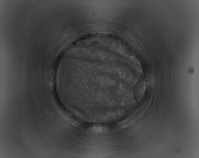 X0000095550464200801041335