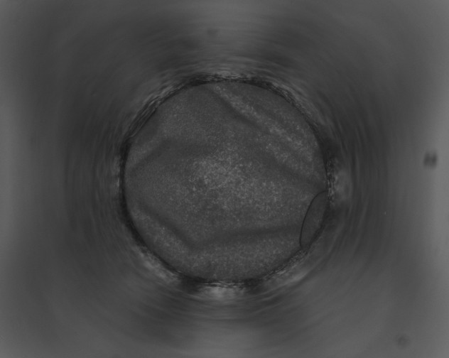 X0000095550466200801041335