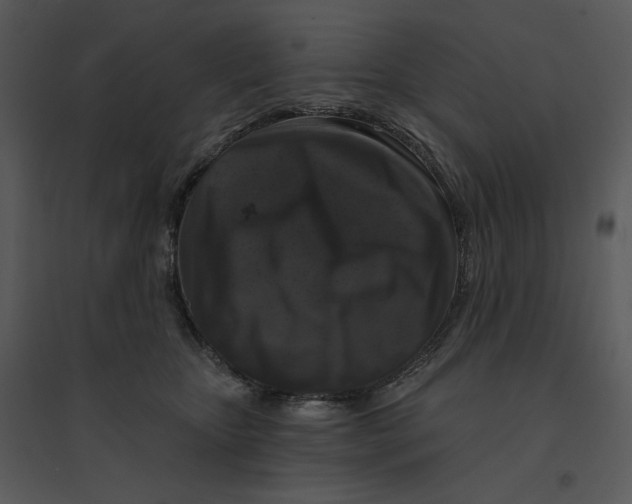 X0000095550467200801041335