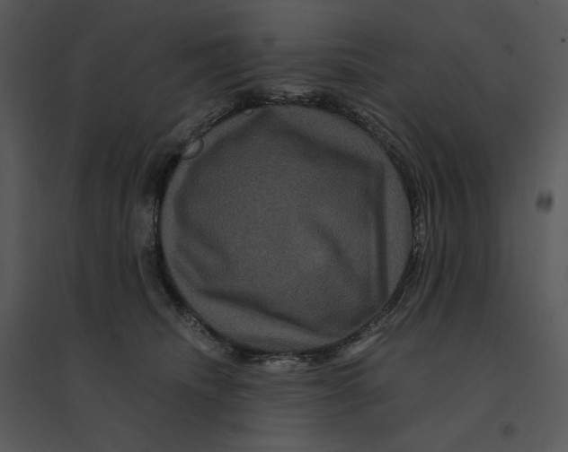 X0000095550468200801041335