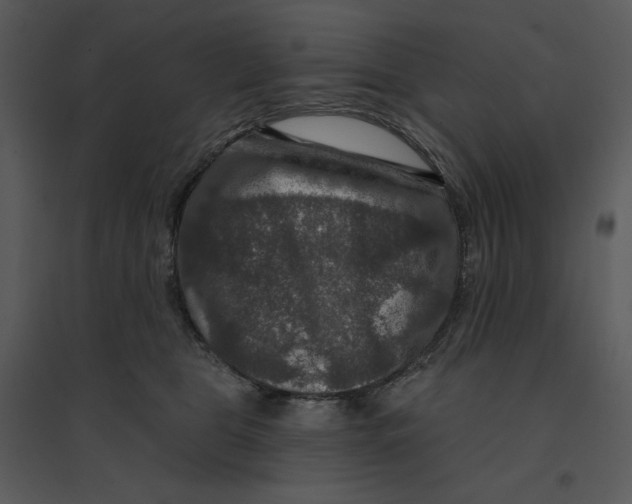 X0000095550469200801041335