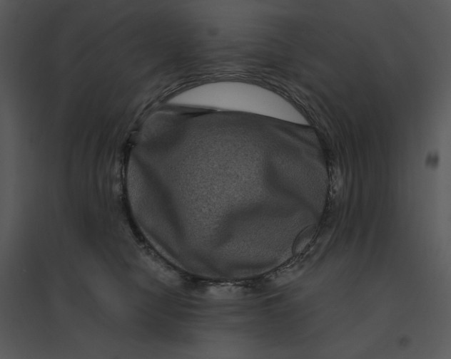 X0000095550470200801041335