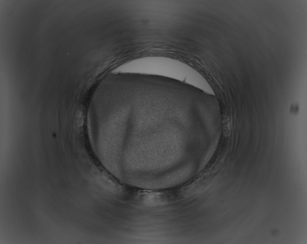 X0000095550472200801041335