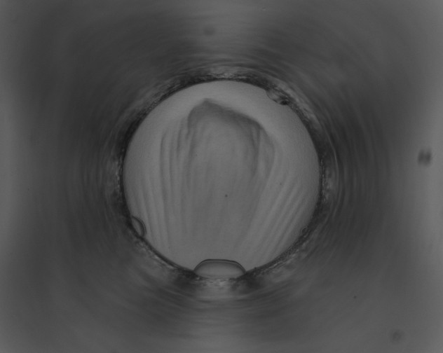 X0000095550473200801041335