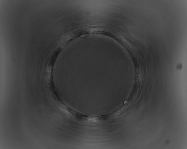 X0000095550475200801041335