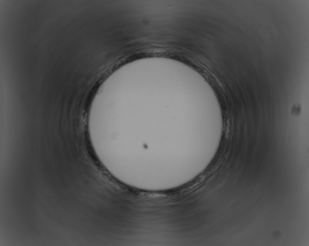 X0000095550476200801041335