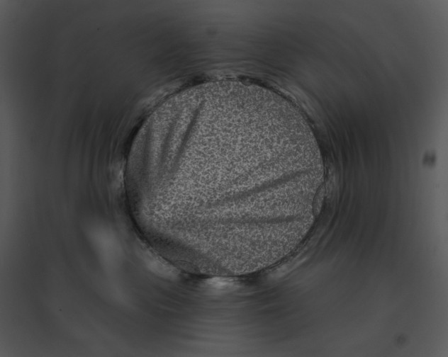 X0000095550477200801041335