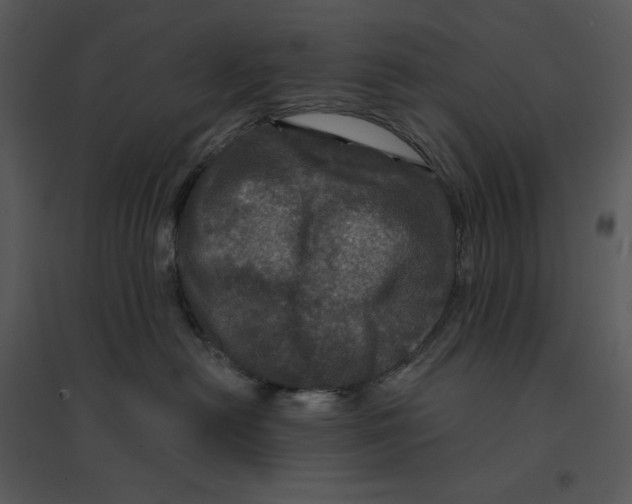 X0000095550478200801041335