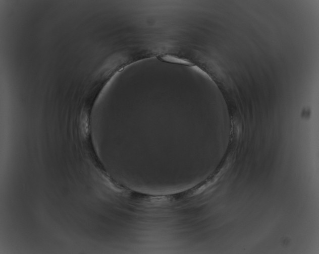 X0000095550479200801041335