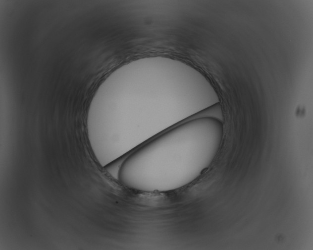 X0000095550480200801041335