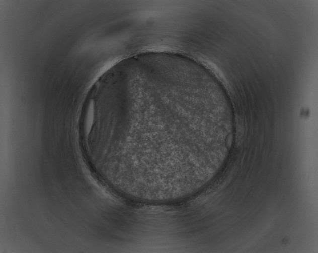 X0000095550482200801041334