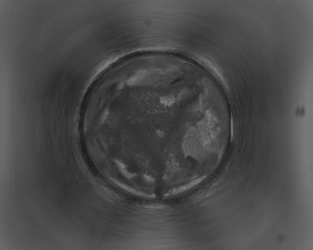 X0000095550483200801041334