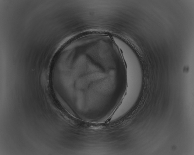 X0000095550484200801041334