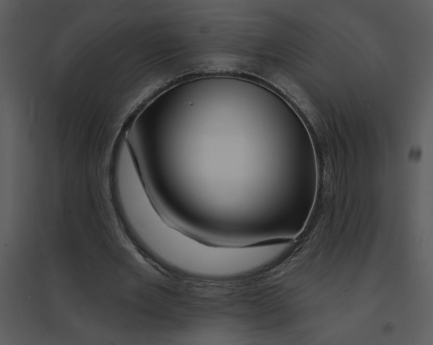 X0000095550485200801041334