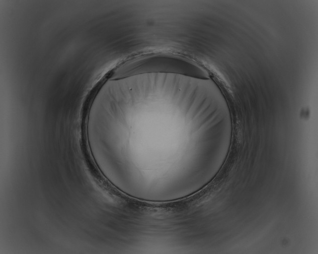 X0000095550486200801041334