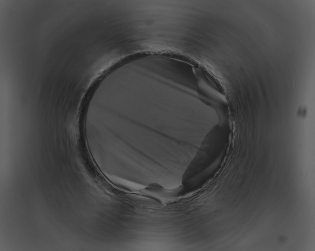 X0000095550488200801041334